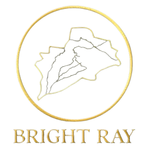 Logo 31