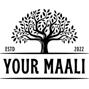 Logo 37
